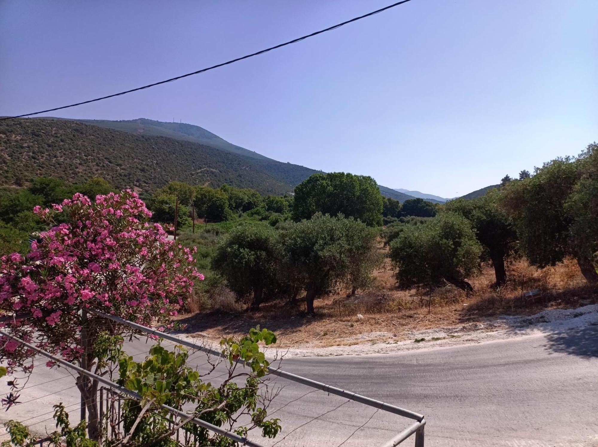 Sunny Day Skala Marion